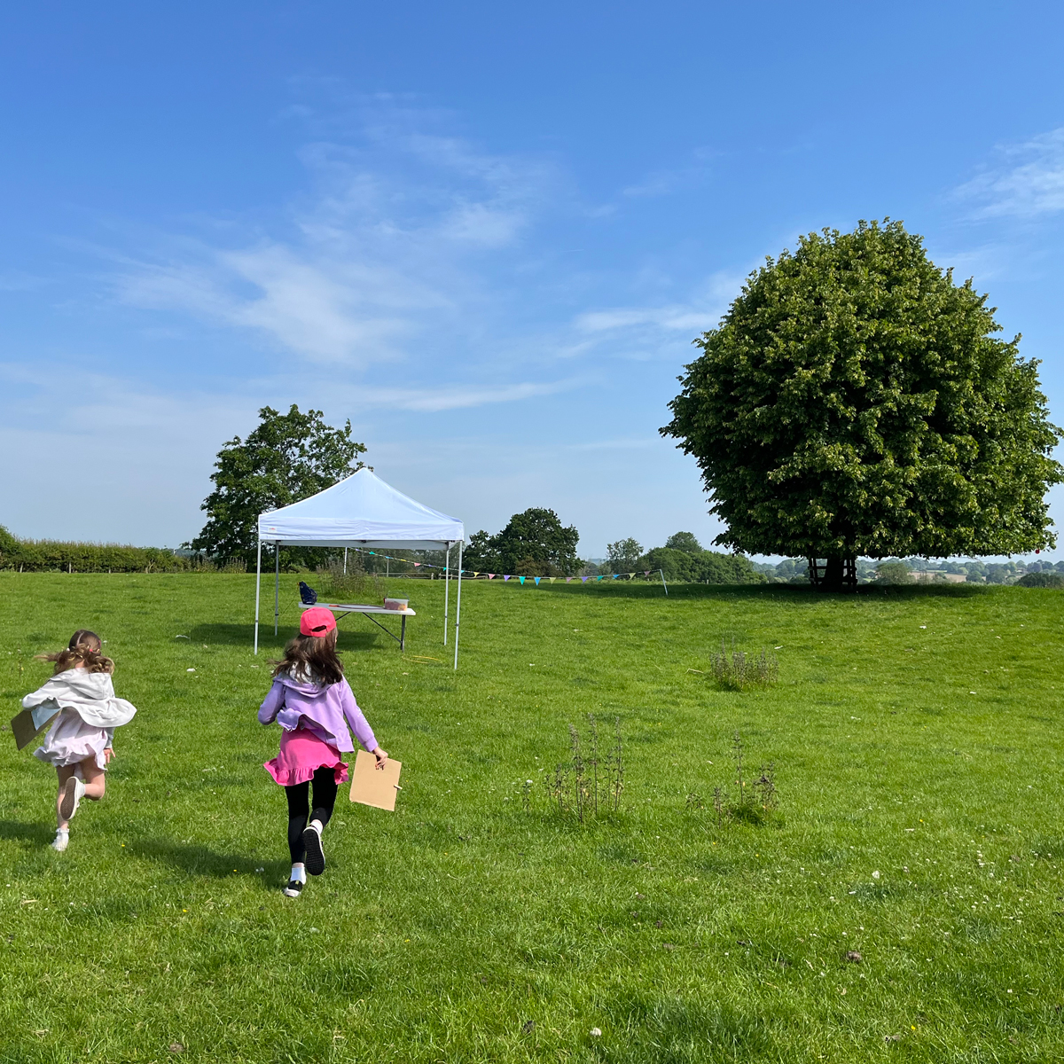 Photo of children running across a grassy field towards a white gazebo and a large tree