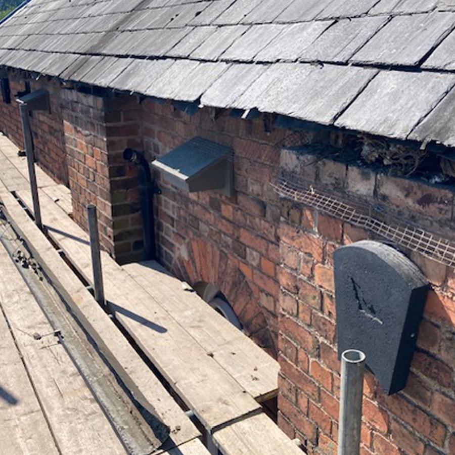 2025-05-12-Some-of-the-bird-and-bat-boxes-installed2.jpg