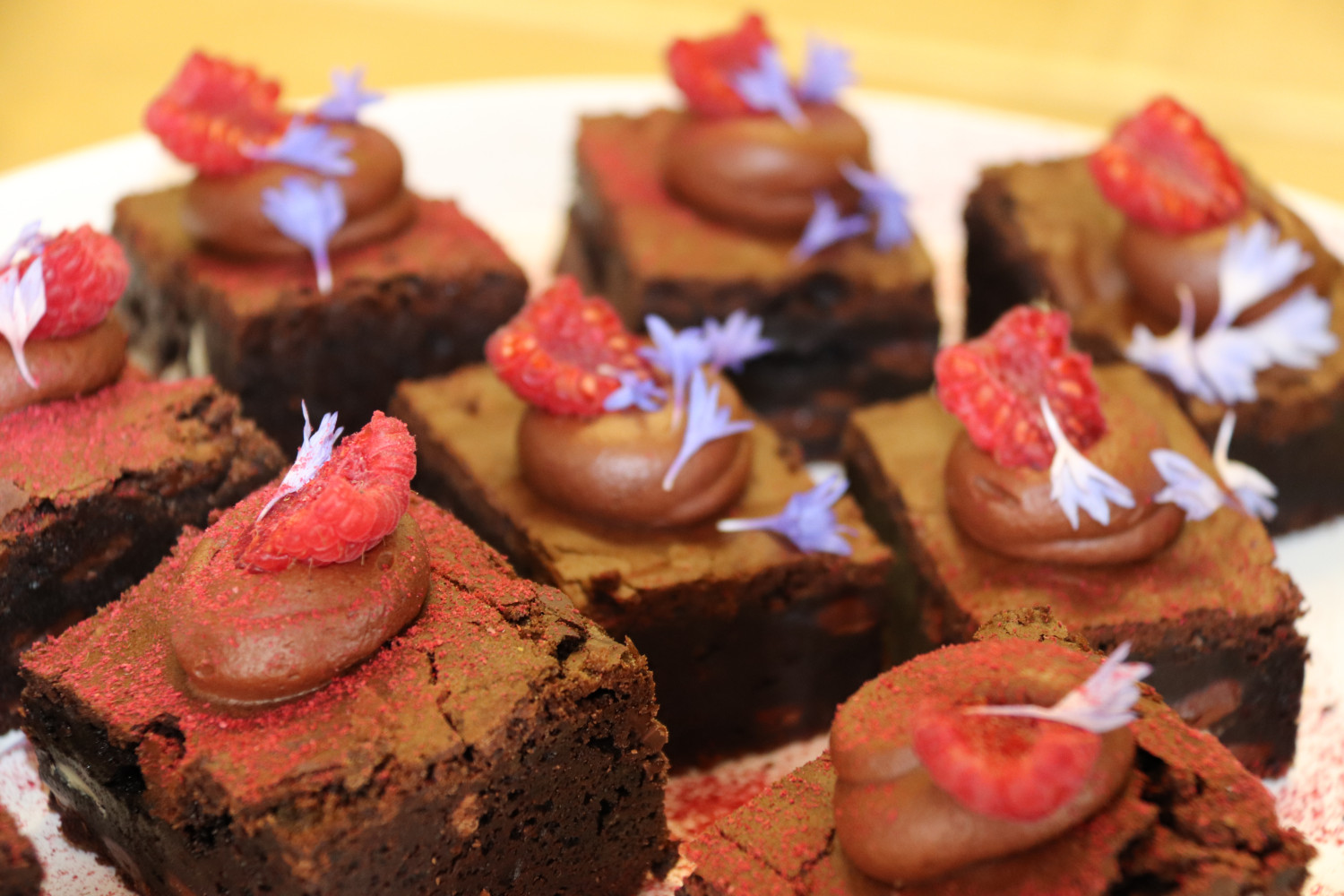Photo of a plate of chocolate brownie topped with fresh raspberries